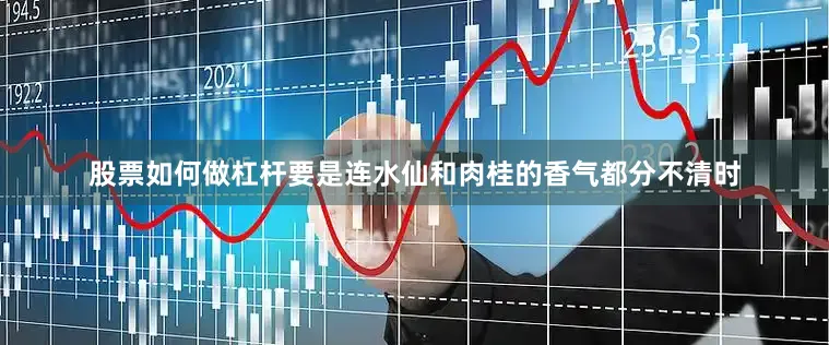 股票如何做杠杆要是连水仙和肉桂的香气都分不清时