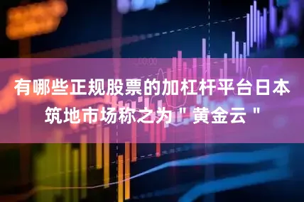 有哪些正规股票的加杠杆平台日本筑地市场称之为＂黄金云＂