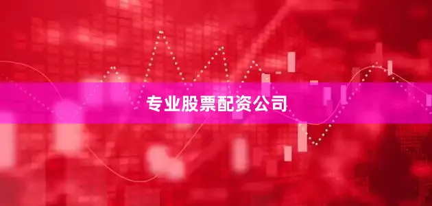 专业股票配资公司