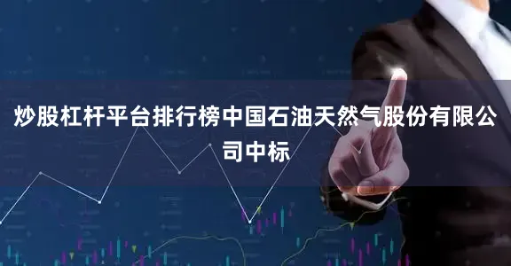 炒股杠杆平台排行榜中国石油天然气股份有限公司中标