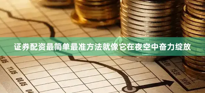 证券配资最简单最准方法就像它在夜空中奋力绽放